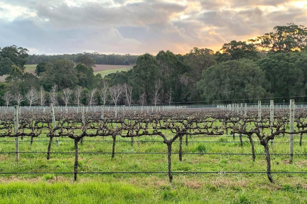 Ruse Estate Retreat Margaret River Rosa Glen 外观 照片